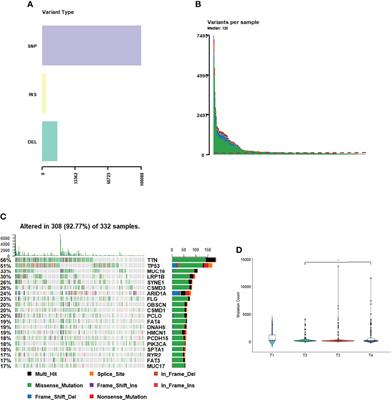 Frontiers | Driver Gene Alterations In Malignant Progression Of Gastric ...